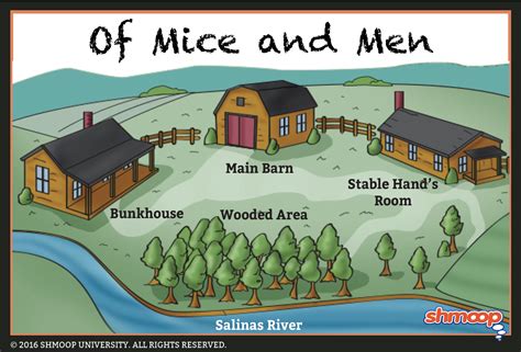  Of Mice and Men – A Touching Tale of Friendship and Disillusionment in Rural Colombia