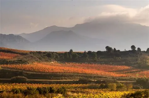  España: A Photographic Journey Through Landscapes and Cultures!